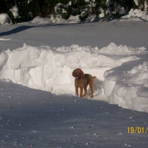 Meet your Posher, Rey